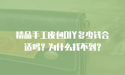精品手工皮包DIY多少钱合适吗？为什么找不到？