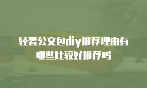 轻奢公文包diy推荐理由有哪些比较好推荐吗