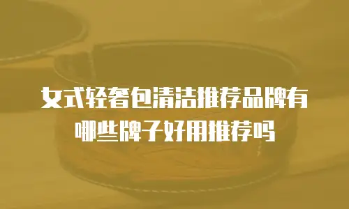 女式轻奢包清洁推荐品牌有哪些牌子好用推荐吗