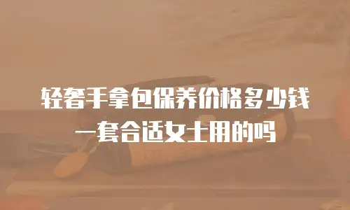 轻奢手拿包保养价格多少钱一套合适女士用的吗