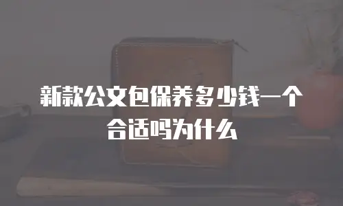 新款公文包保养多少钱一个合适吗为什么