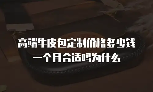 高端牛皮包定制价格多少钱一个月合适吗为什么