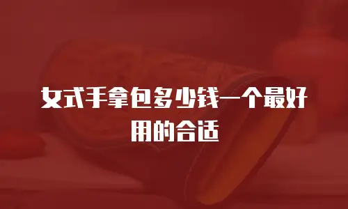 女式手拿包多少钱一个最好用的合适