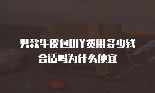 男款牛皮包DIY费用多少钱合适吗为什么便宜