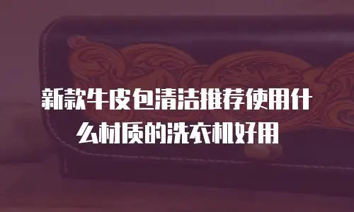 新款牛皮包清洁推荐使用什么材质的洗衣机好用