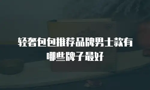 轻奢包包推荐品牌男士款有哪些牌子最好