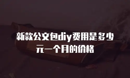 新款公文包diy费用是多少元一个月的价格