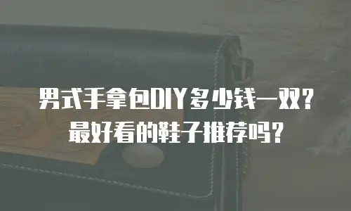 男式手拿包DIY多少钱一双？最好看的鞋子推荐吗？