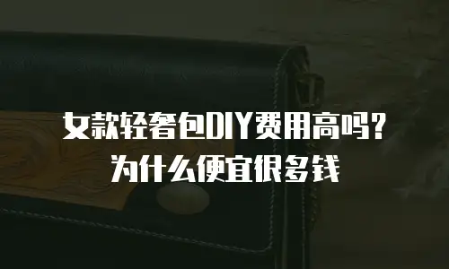 女款轻奢包DIY费用高吗？为什么便宜很多钱