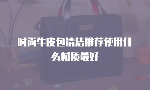 时尚牛皮包清洁推荐使用什么材质最好