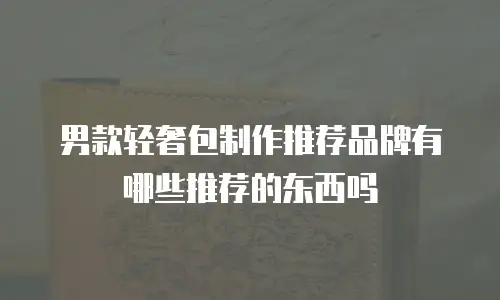 男款轻奢包制作推荐品牌有哪些推荐的东西吗
