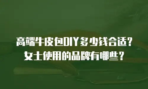 高端牛皮包DIY多少钱合适？女士使用的品牌有哪些？