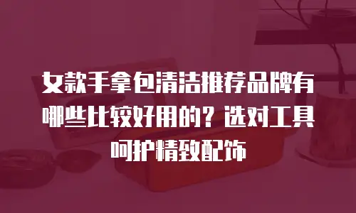 女款手拿包清洁推荐品牌有哪些比较好用的？选对工具呵护精致配饰