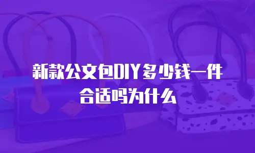 新款公文包DIY多少钱一件合适吗为什么