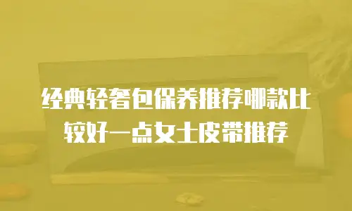 经典轻奢包保养推荐哪款比较好一点女士皮带推荐