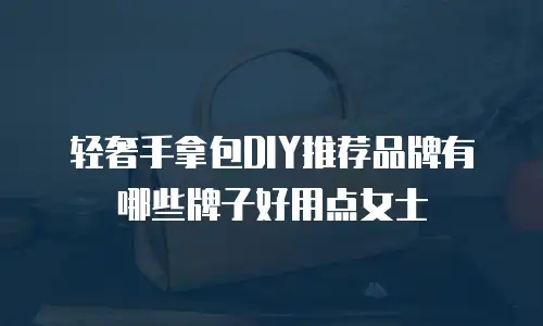 轻奢手拿包DIY推荐品牌有哪些牌子好用点女士