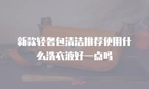 新款轻奢包清洁推荐使用什么洗衣液好一点吗