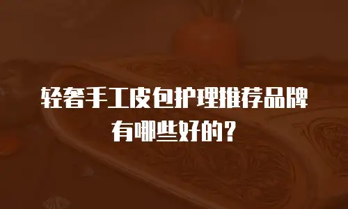 轻奢手工皮包护理推荐品牌有哪些好的？