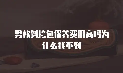 男款斜挎包保养费用高吗为什么找不到