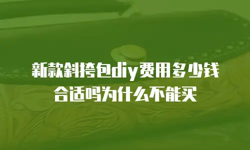 新款斜挎包diy费用多少钱合适吗为什么不能买