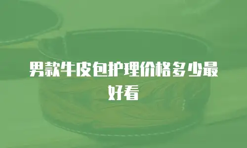 男款牛皮包护理价格多少最好看