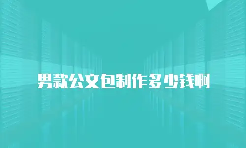 男款公文包制作多少钱啊
