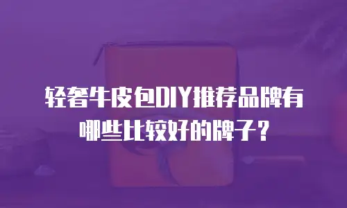 轻奢牛皮包DIY推荐品牌有哪些比较好的牌子？