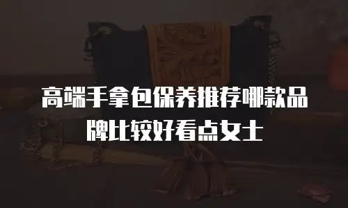 高端手拿包保养推荐哪款品牌比较好看点女士