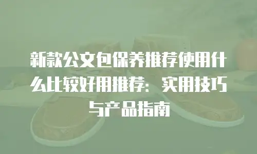 新款公文包保养推荐使用什么比较好用推荐：实用技巧与产品指南