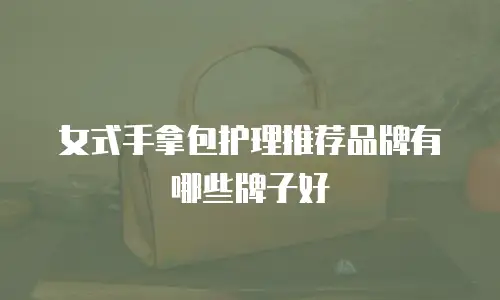 女式手拿包护理推荐品牌有哪些牌子好