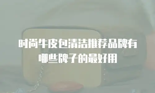 时尚牛皮包清洁推荐品牌有哪些牌子的最好用