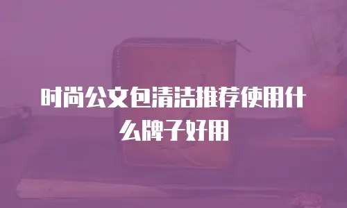 时尚公文包清洁推荐使用什么牌子好用
