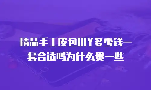 精品手工皮包DIY多少钱一套合适吗为什么贵一些
