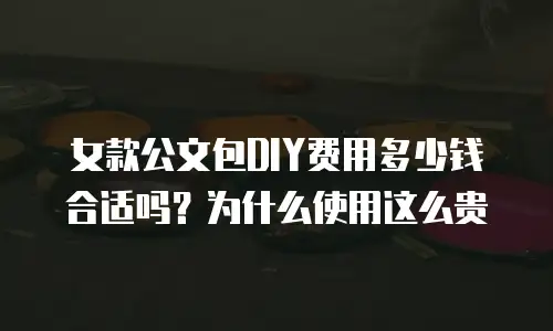 女款公文包DIY费用多少钱合适吗？为什么使用这么贵