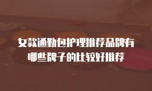 女款通勤包护理推荐品牌有哪些牌子的比较好推荐