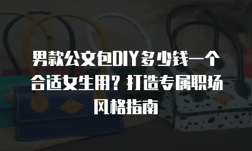 男款公文包DIY多少钱一个合适女生用？打造专属职场风格指南