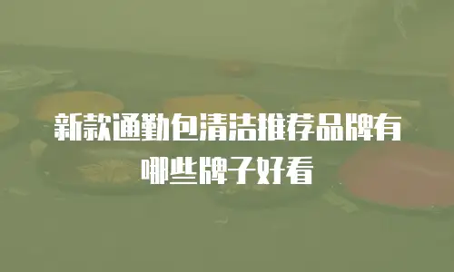 新款通勤包清洁推荐品牌有哪些牌子好看