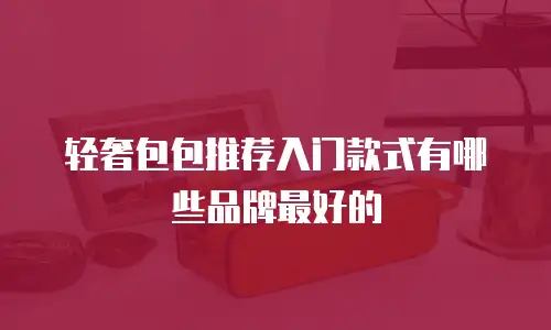 轻奢包包推荐入门款式有哪些品牌最好的