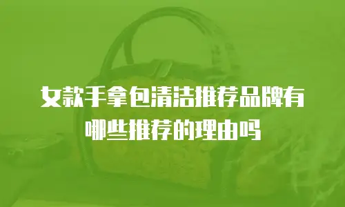 女款手拿包清洁推荐品牌有哪些推荐的理由吗