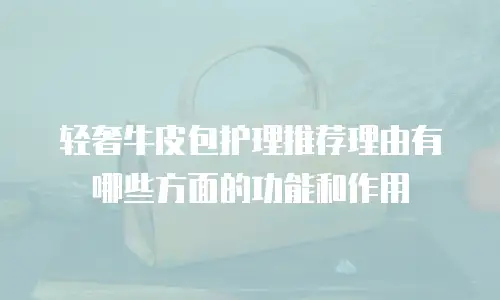 轻奢牛皮包护理推荐理由有哪些方面的功能和作用