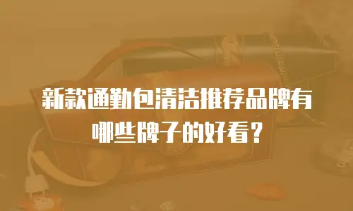 新款通勤包清洁推荐品牌有哪些牌子的好看？