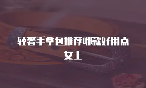 轻奢手拿包推荐哪款好用点女士