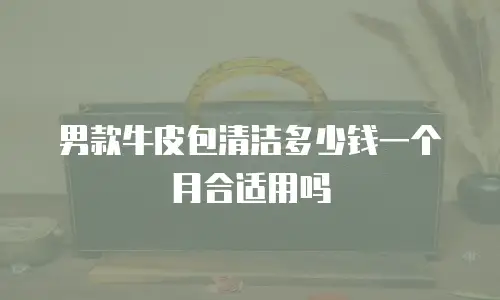 男款牛皮包清洁多少钱一个月合适用吗