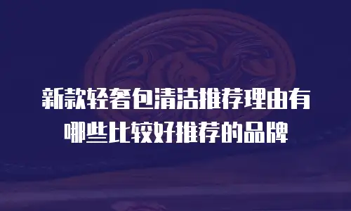 新款轻奢包清洁推荐理由有哪些比较好推荐的品牌