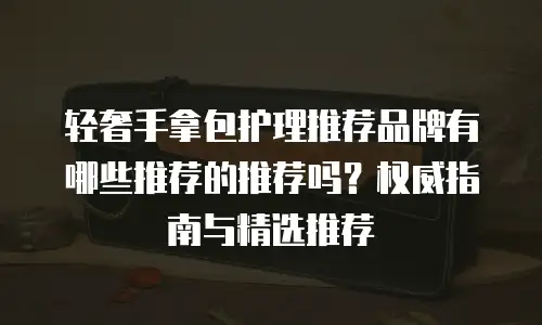 轻奢手拿包护理推荐品牌有哪些推荐的推荐吗？权威指南与精选推荐