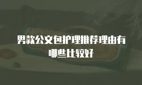 男款公文包护理推荐理由有哪些比较好