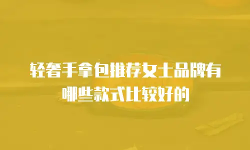 轻奢手拿包推荐女士品牌有哪些款式比较好的
