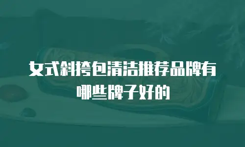 女式斜挎包清洁推荐品牌有哪些牌子好的