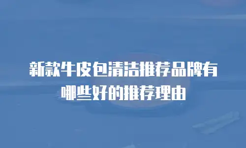 新款牛皮包清洁推荐品牌有哪些好的推荐理由