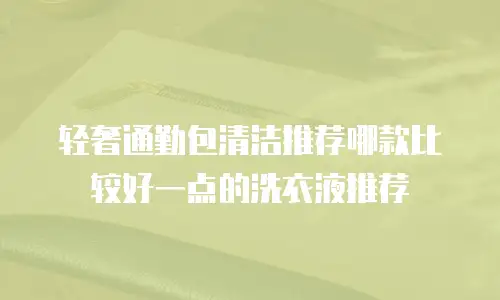 轻奢通勤包清洁推荐哪款比较好一点的洗衣液推荐